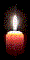 Flame (2307 bytes)
