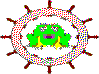 pfrog.GIF (1653 bytes)