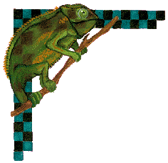 Baja Lizard (10870 bytes)