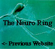 The Neuro Ring's Previous
Website