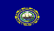 New Hampshire State flag