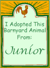 I adopted these pets from Junior