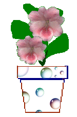flower1_dec799.gif (8921 bytes)