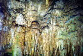 Mammoth Caves National Park - Kentucky