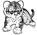 Tiger Cub To Color