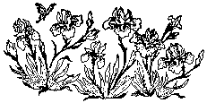 Orchids To Color