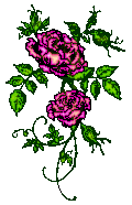 Two Roses