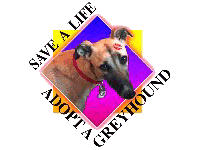 adopt a greyhound