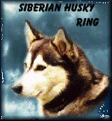 Siberian Husky Ring