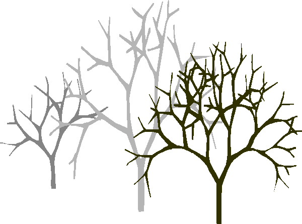 3 Trees