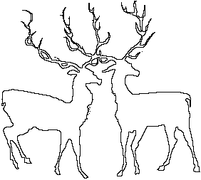 2 Deer