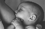 contentedly breastfeeding baby