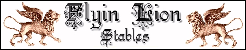 Flyin Lion Stables