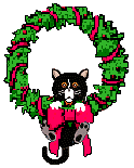 cat hanging on wreath