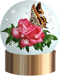 snowglobe with butterfly