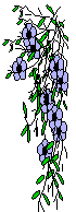 blue
flower cascade