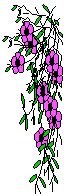 purple
flower cascade