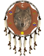 shield with wolf