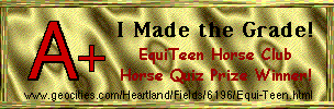 Horse Quiz Winner!