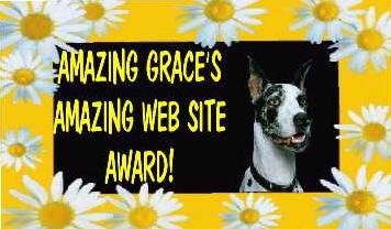 Amazing Grace Award