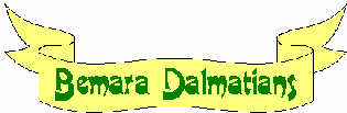 Bemara Dalmatians