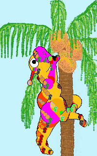 Dynaroo in Coconut Tree