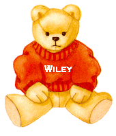 Wiley Bear