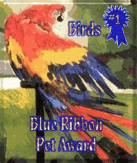 Blue Ribbon Pet Award