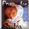 Pray for Sophia