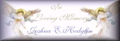 In Memory of Joshua