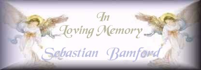 In Memory of Sebastian Daniel Bamford