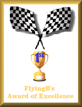 Flying B Award of Excellence