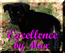 Max Award of Excellence