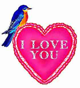 I love you bird
