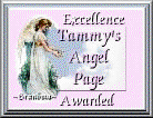 Tammy's angel award