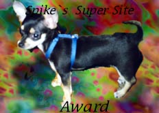 Spike's Award