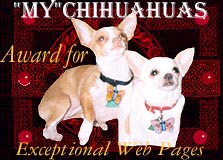 My Chihuahuas