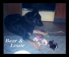 Bear and Louie