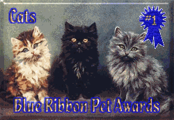 Blue Ribbon Pet Award