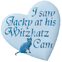 Jacky's Cat Cam!