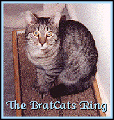 BratCats WebRing