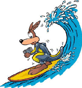 Surfing kangaroo image