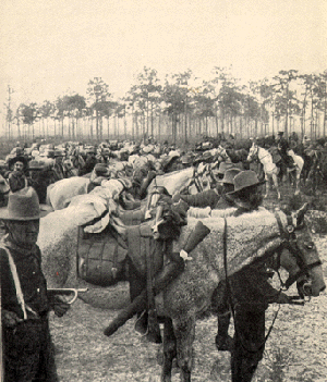 Troop H, shortly after Arrival at Tampa