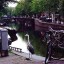 Amsterdam canal bird