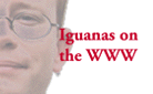 Iguanas on the WWW
