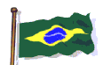  brazil flag