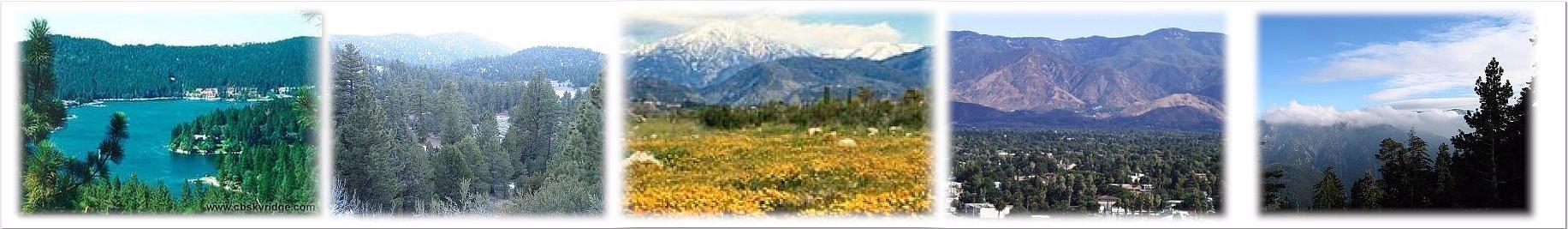 Views of the San Bernardino National Forest