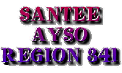 Region 341 AYSO