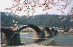 Kintai w/ cherry blossoms. A. Vashro