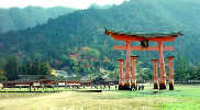 Miyajima shrine and torii